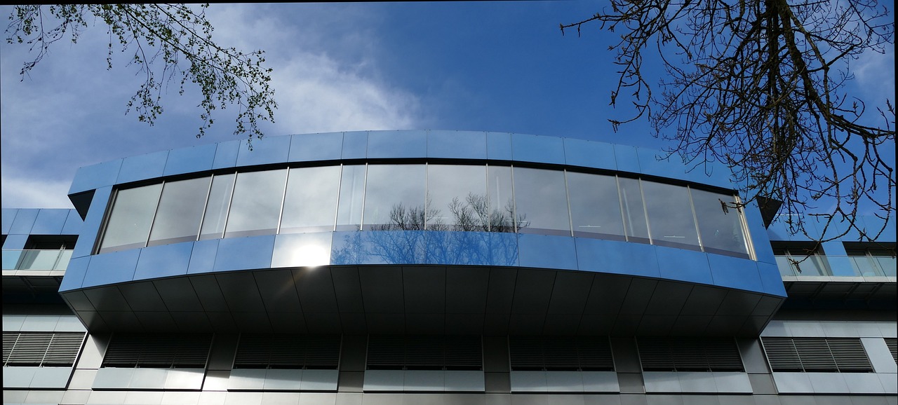 缅甸忠告图七星蓝莓：都昌代理公司注册