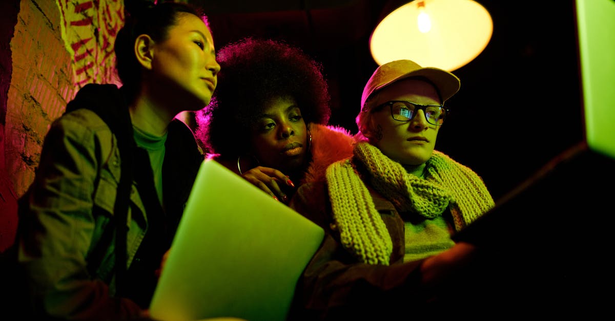 DogYun实名账号：txt专辑购买平台