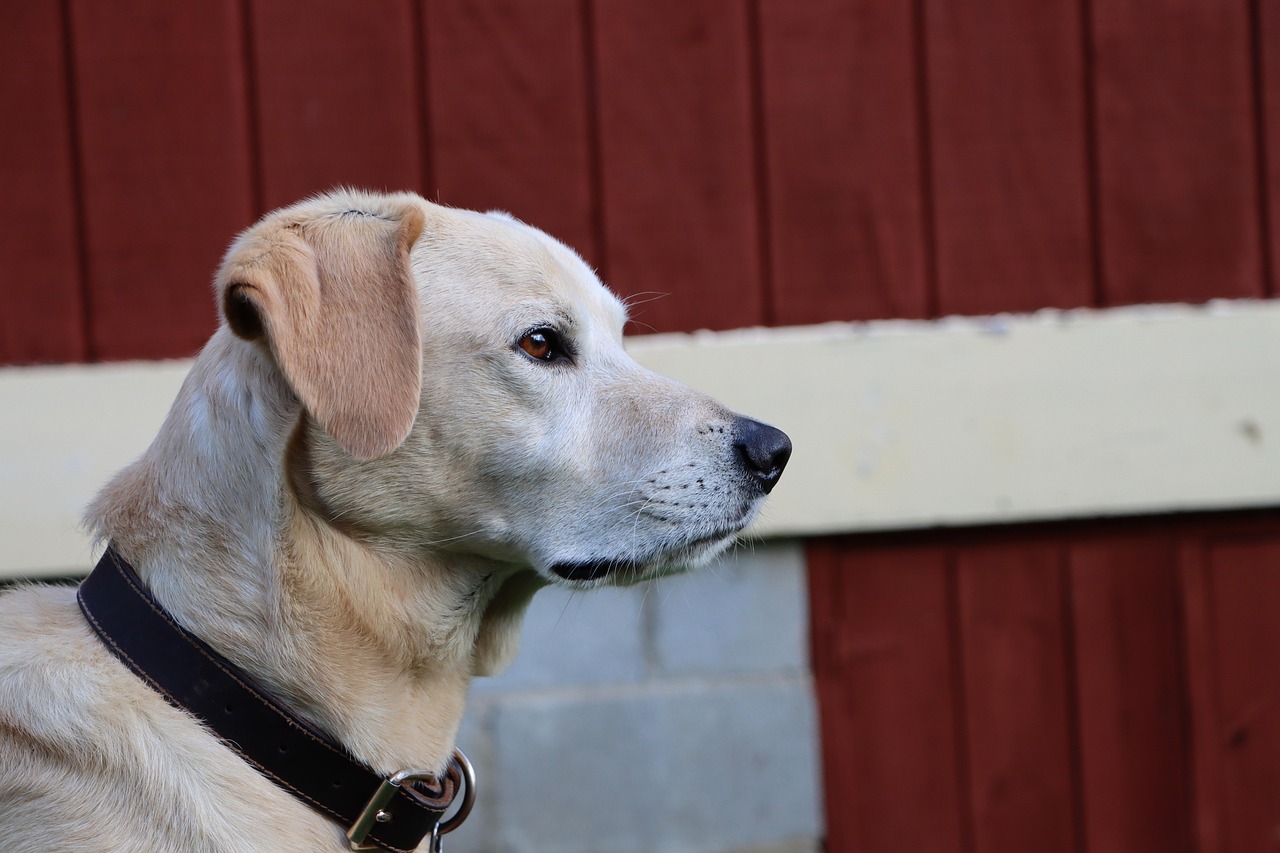 微信号买卖：代理注册公司武汉