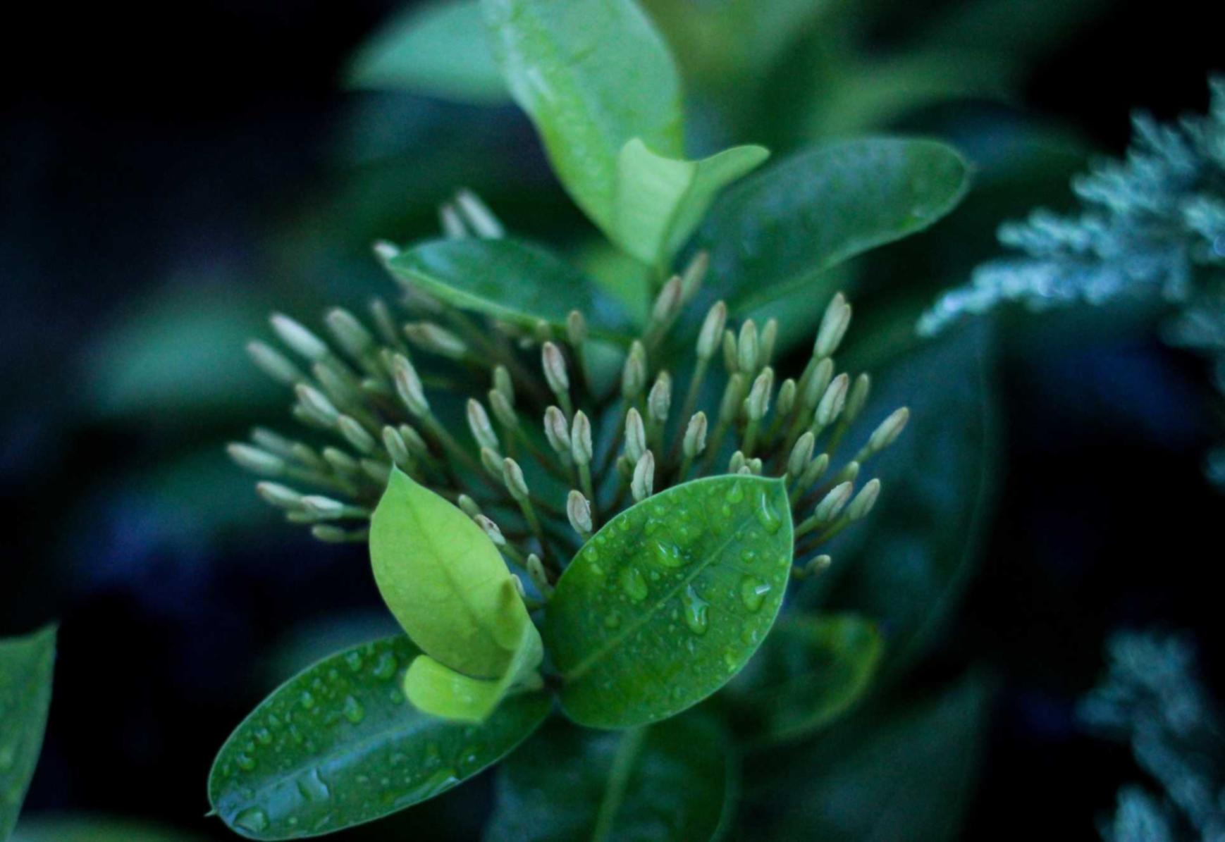 实名物联卡:海尔聊城公司注册代理