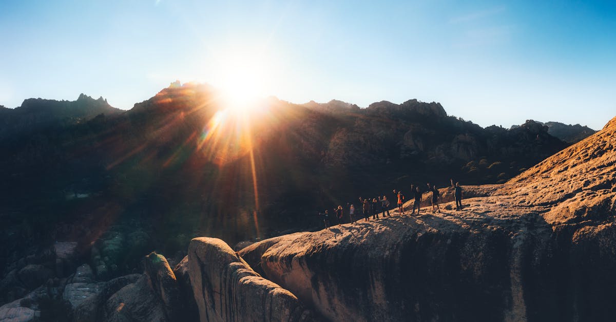 Bohem宝恒树叶橙子爆珠:仓库装卸平台购买