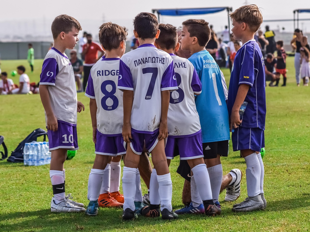 信无双2凤凰城平台代理