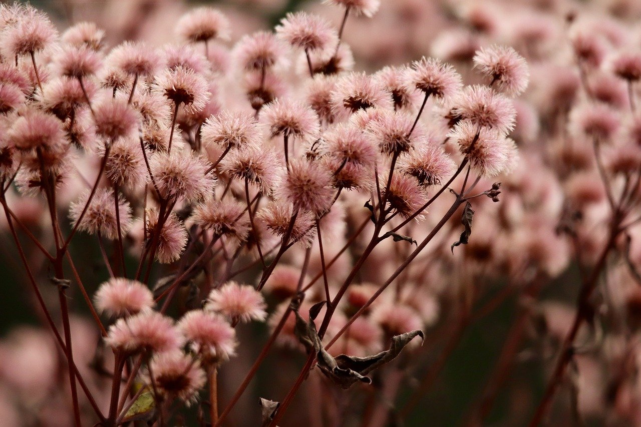 http攻击|黑客攻击如何窃取你的信用卡信息