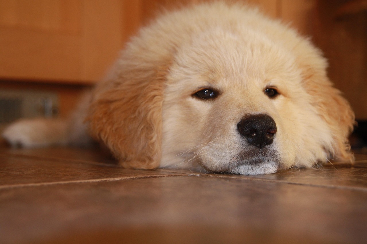 陕西代理工商注册选择哪家