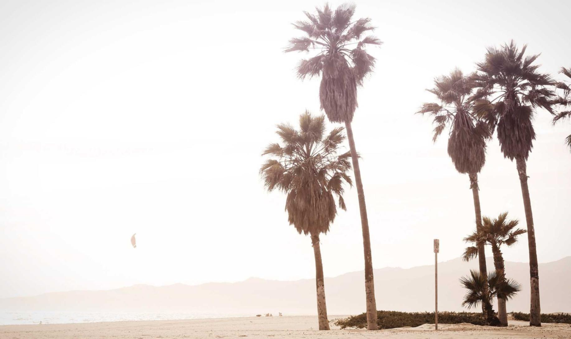 探探实名账号：快鱼直播app详情下载教程